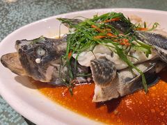 -鑫阿强海鲜大排档·老厦门特色菜(中山路店)