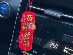 -枫花园汽车电影院(朝阳公园店)