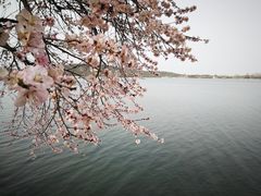 -颐和园