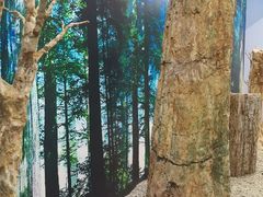 -延庆地质公园博物馆