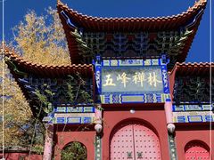 -遵化市禅林寺古银杏风景园