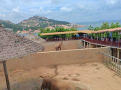 -西霞口神雕山野生动物世界