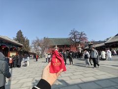 -天津大悲禅院