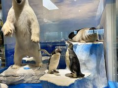 -国家自然博物馆