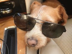 -1861意大利餐厅(文化广场店)