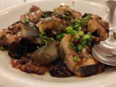 豉汁蒸寻龙鱼-朱仔记食府(江南大道店)