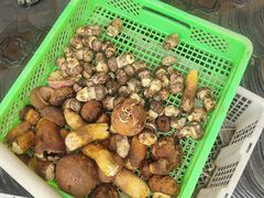 -山菌美食苑(振兴路店)