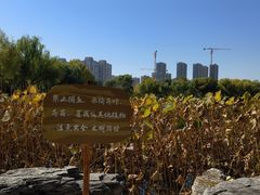 -太阳宫公园