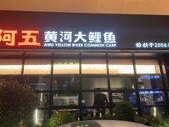 -阿五黄河大鲤鱼(建业路店)