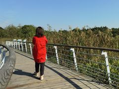 -西湖风景区-江洋畈生态公园