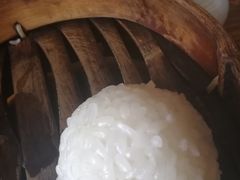 茨毛圆子-双塔老饭店