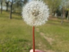 -临汾涝洰河生态公园