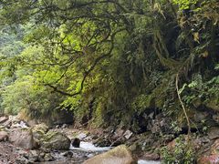 -西岭雪山大飞水景区