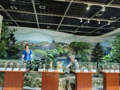 -贵州省植物园