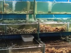 -同道蒸汽海鲜烧烤自助(刘庄夜市店)