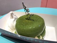 -狐狸和向日葵(北京路店)