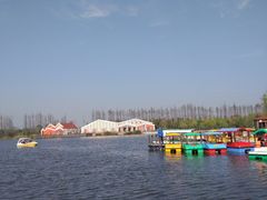 -上海长兴岛郊野公园