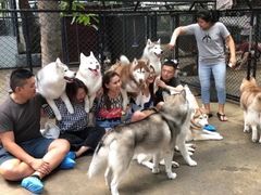 -TrueLove @ Neverland (Husky Cafe)