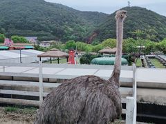 -宁波九龙湖开元度假村