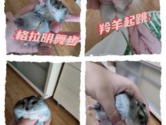 -乐宠宠物店(世纪金源店)