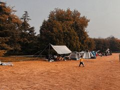 -泰丰公园