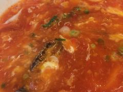 -至潮餐厅精致粤菜·活鲈鱼·走地鸡(珠江新城店)