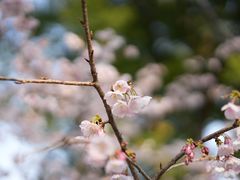 -静安雕塑公园