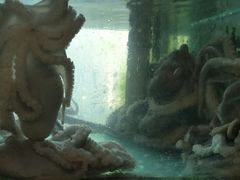 -合家小菜餐馆(新诚花苑店)