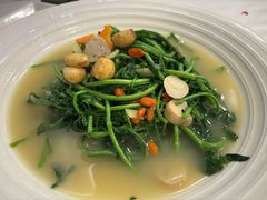 -广州建国酒店-盈丰阁粤菜-粤式茶点