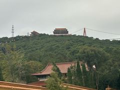 -华西村