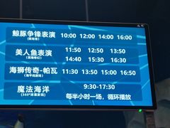 -海合安青岛极地海洋公园