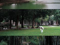 -中国科学院华南植物园