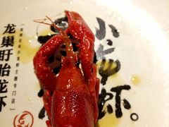 -龙巢盱眙龙虾·牛蛙·烧烤宵夜(八卦岭店)