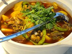 -高坎一品甲鱼庄(两河店)