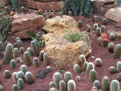 -南通洲际绿博园