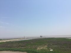 -南汇嘴观海公园