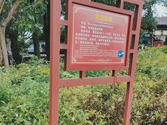 -中华茉莉园