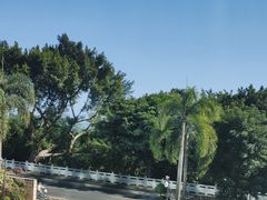 -海湾壹品·粤菜·早茶·烤鸭(拱北店)