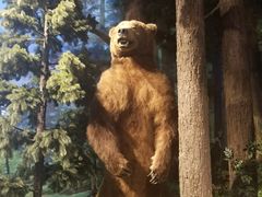 -陕西自然博物馆