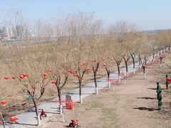 -咸阳湖景区-古渡公园