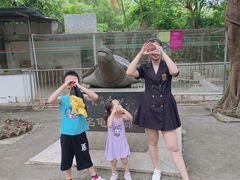 -广东茂名森林公园