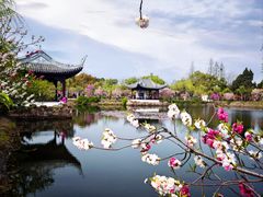 -无锡蠡湖国家湿地公园-蠡园