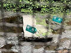 -南宋御街