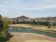 -上海佘山世茂艾美酒店