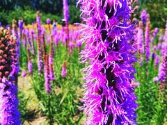 -长春公园(普阳街道)