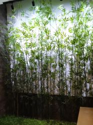 -凤绫儿亲子儿童摄影馆(天津店)