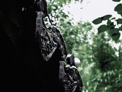 -宛园