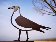 -野鸭湖国家湿地公园