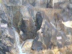 -昆明动物园