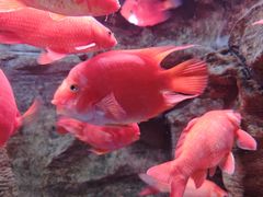 -成都浩海立方海洋公园